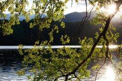 Trentino: Una vacanza indimenticabile al lago di Levico