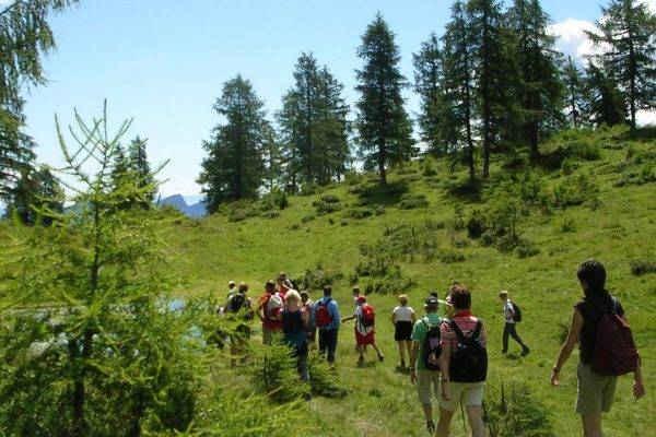 Trentino: Trekking, i passi verso la meta