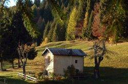 Nordic Walking im Trentino – die Bergwelt genießen