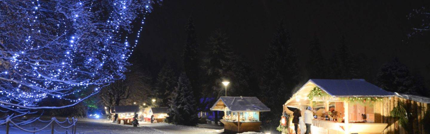 Il Mercatino di Natale di Levico Terme si svolge ogni anno nel parco secolare degli Asburgo. Immerso nella natura, troverai prodotti tipici locali del Trentino
